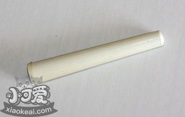 柯基怎么斷尾 柯基犬斷尾教程7