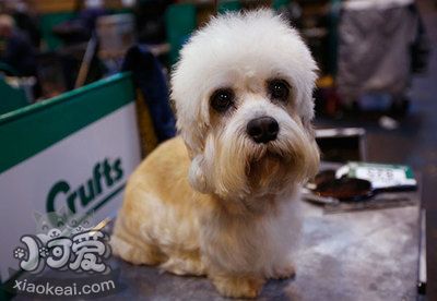 短腳長身梗燙傷怎么處理 燙傷或燒傷處理方法