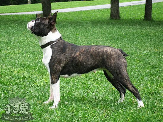 波士頓梗感冒怎么辦 波士頓梗感冒護理方法1