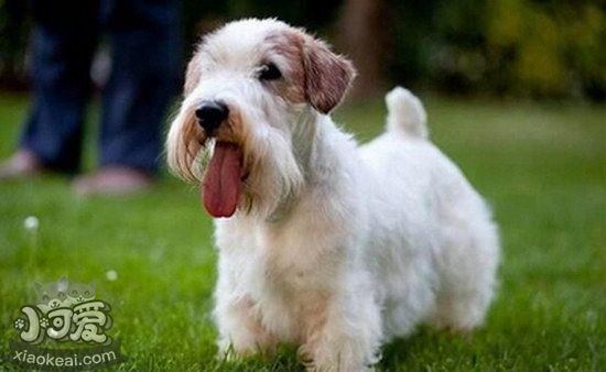 錫利哈姆梗感冒怎么治療 錫利哈姆梗感冒護理方法1