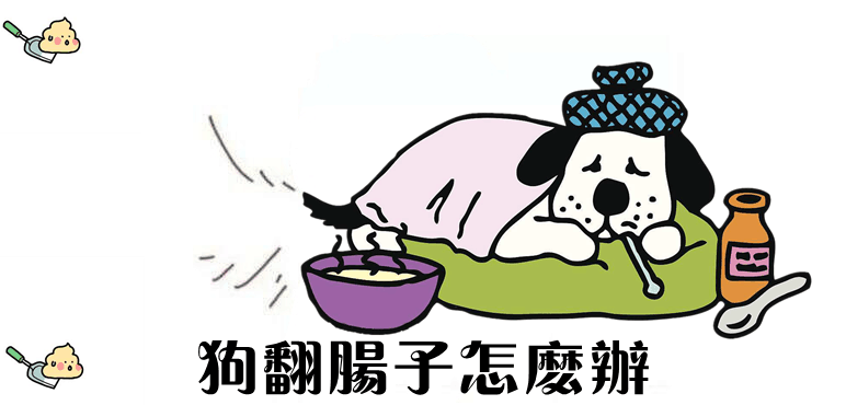狗翻腸子怎么辦1