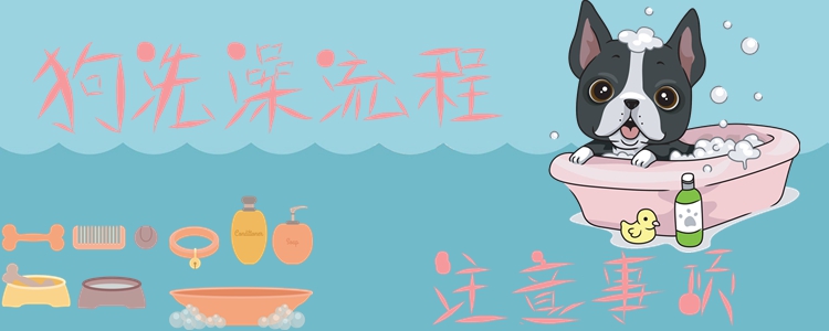 狗洗澡流程及注意事項1