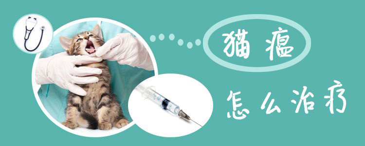 貓瘟怎么治療