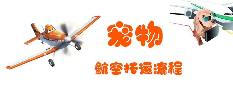 寵物航空托運流程1