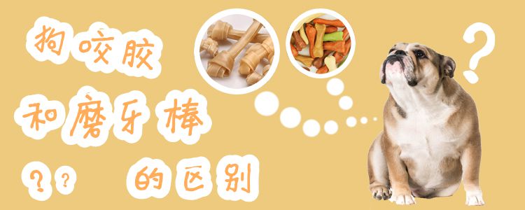 狗咬膠和磨牙棒的區(qū)別