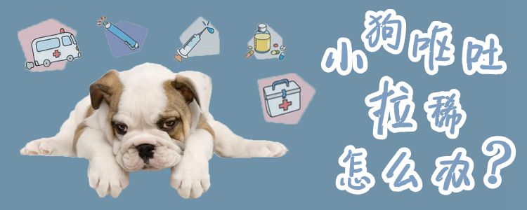 小狗拉稀嘔吐怎么辦