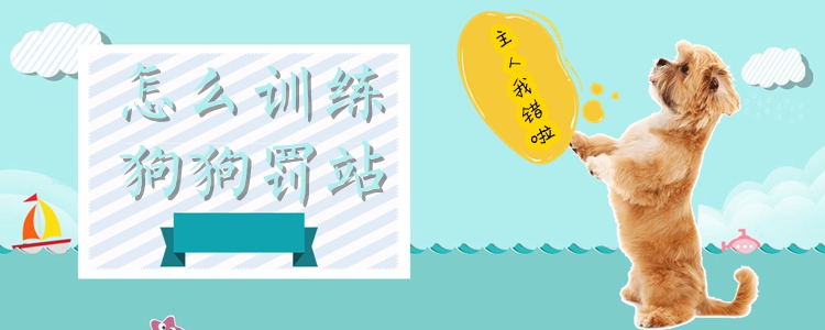 怎么訓(xùn)練狗狗罰站
