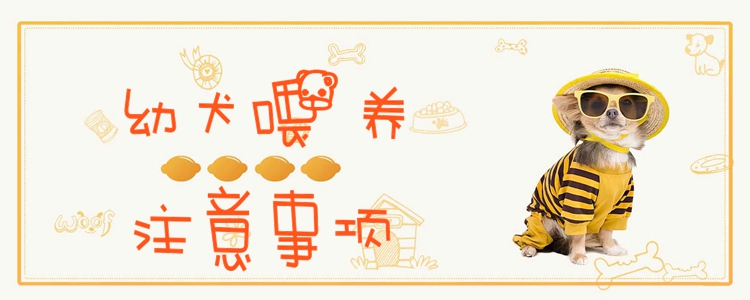 幼犬喂養注意事項