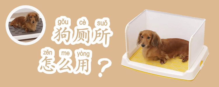 狗廁所怎么用