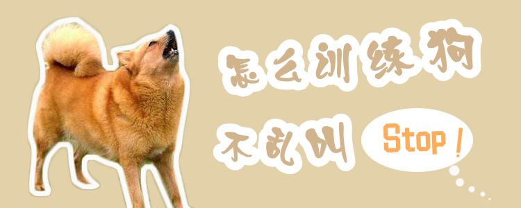 怎么訓練狗不亂叫