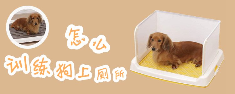 怎么訓練狗上廁所