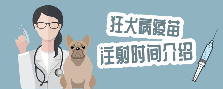 狂犬病疫苗注射時(shí)間介紹