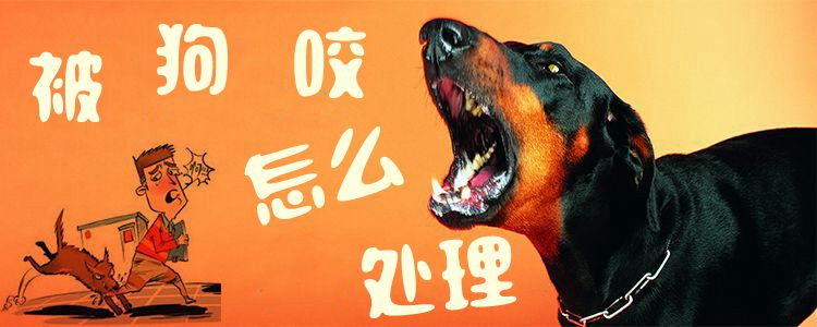 被狗咬怎么處理