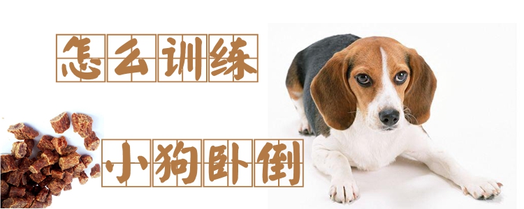 怎么訓(xùn)練小狗臥倒