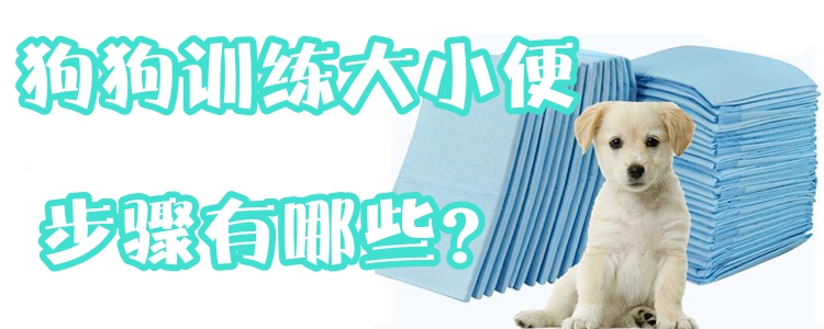 狗狗訓(xùn)練大小便步驟有哪些