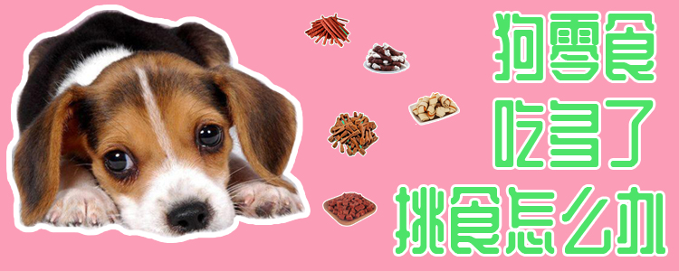 狗零食吃多了挑食怎么辦