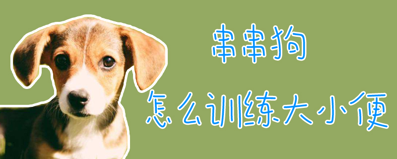 串串狗怎么訓練大小便