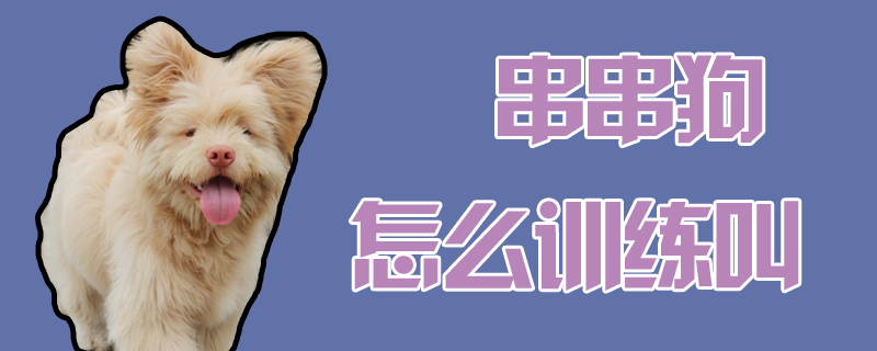 串串狗怎么訓(xùn)練叫