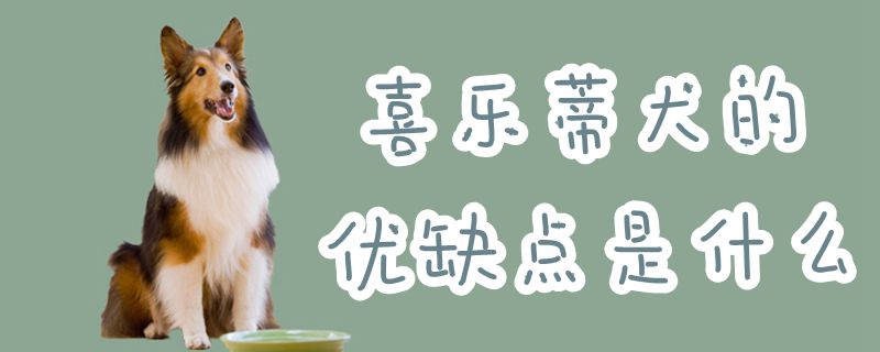 喜樂蒂犬的優(yōu)缺點(diǎn)是什么
