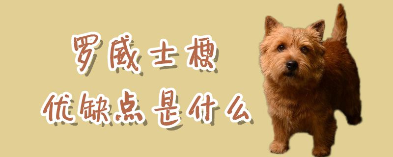 羅威士梗優缺點是什么