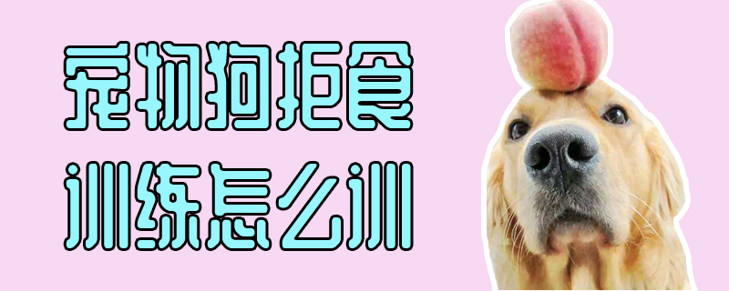 寵物狗拒食訓練怎么訓