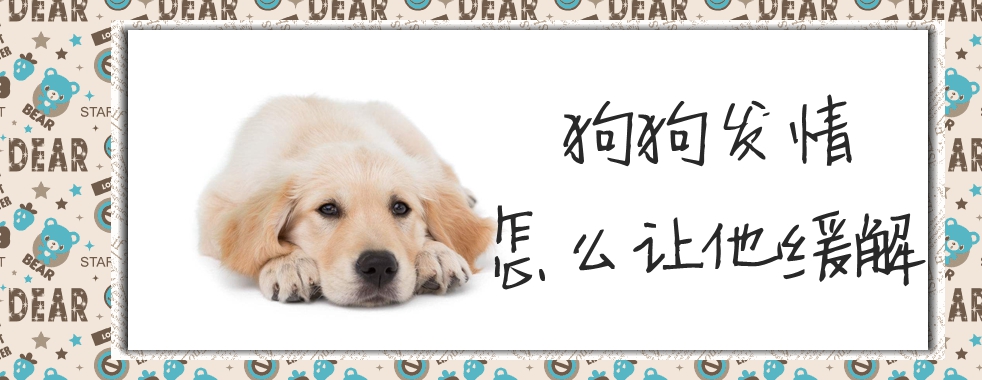 狗狗發情怎么讓他緩解