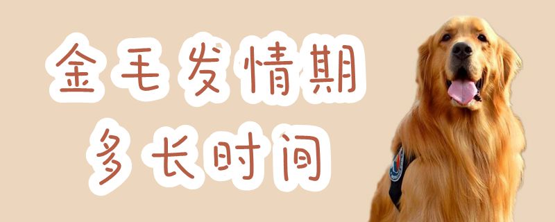 金毛發(fā)情期多長時間
