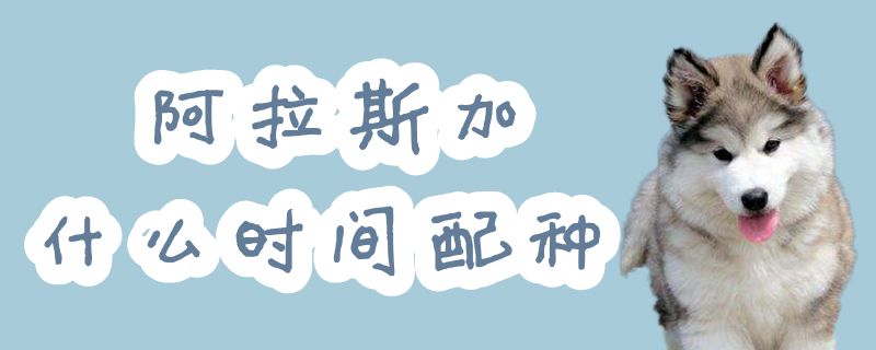 阿拉斯加什么時間配種