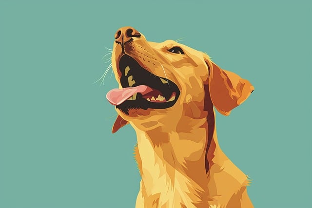 犬絳蟲病的主要癥狀是什么？