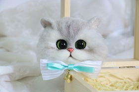 怎么訓(xùn)練金吉拉貓不咬人 金吉拉貓訓(xùn)練方法