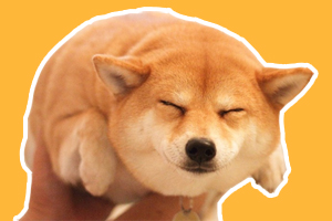 柴犬的生活習性是什么