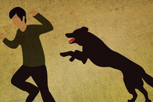 怎么訓練狗撲咬