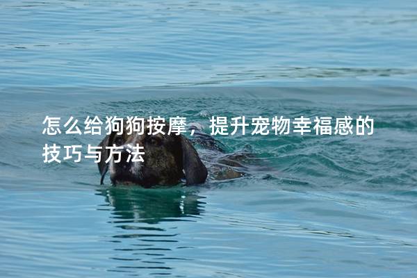 怎么給狗狗按摩，提升寵物幸福感的技巧與方法