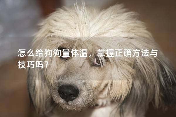 怎么給狗狗量體溫，掌握正確方法與技巧嗎？