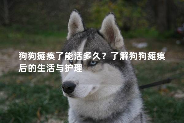 狗狗癱瘓了能活多久？了解狗狗癱瘓后的生活與護理