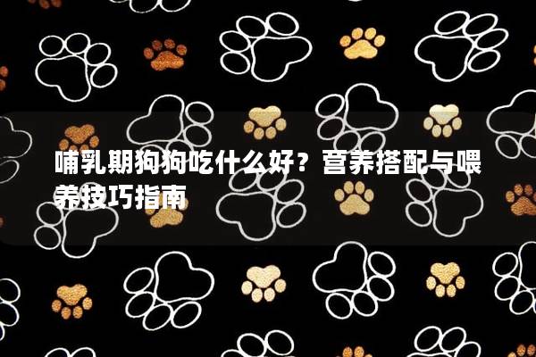 哺乳期狗狗吃什么好？營養(yǎng)搭配與喂養(yǎng)技巧指南