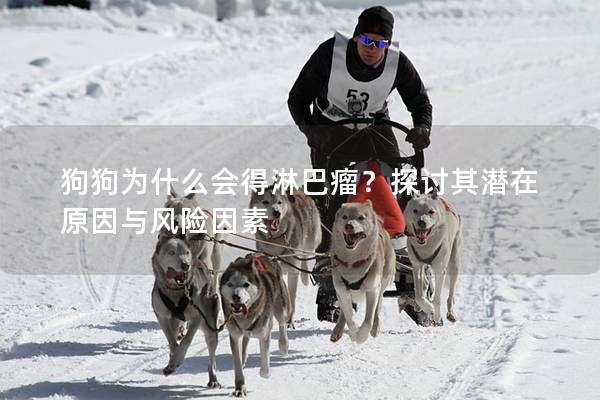 狗狗為什么會得淋巴瘤？探討其潛在原因與風險因素