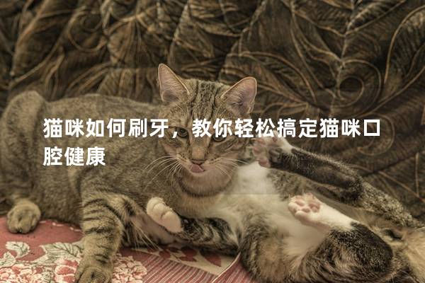 貓咪如何刷牙，教你輕松搞定貓咪口腔健康