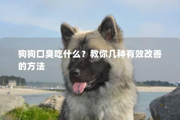狗狗口臭吃什么？教你幾種有效改善的方法