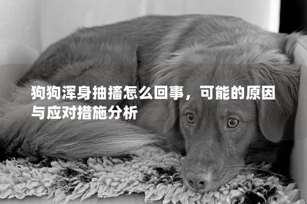 狗狗渾身抽搐怎么回事，可能的原因與應對措施分析