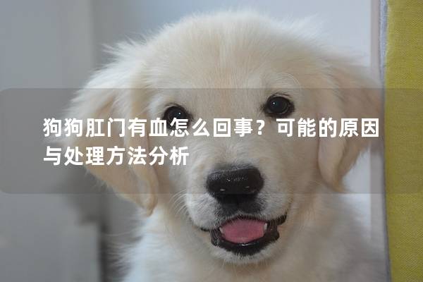 狗狗肛門有血怎么回事？可能的原因與處理方法分析