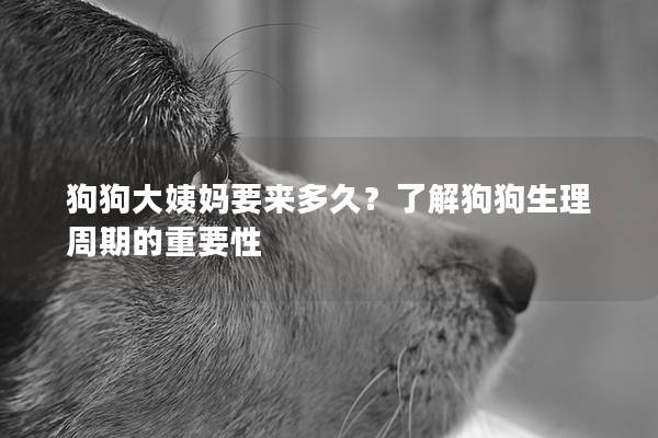 狗狗大姨媽要來多久？了解狗狗生理周期的重要性