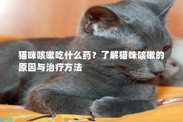 貓咪咳嗽吃什么藥？了解貓咪咳嗽的原因與治療方法