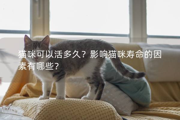 貓咪可以活多久?影響貓咪壽命的因素有哪些? 貓咪可以活多久?影響貓咪壽命的因素有哪些?