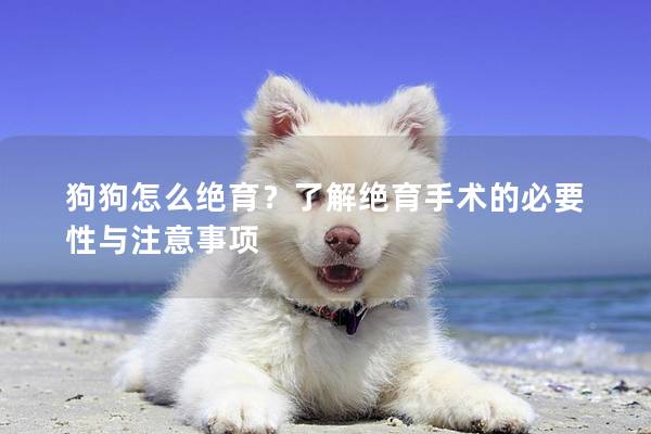 狗狗怎么絕育？了解絕育手術(shù)的必要性與注意事項