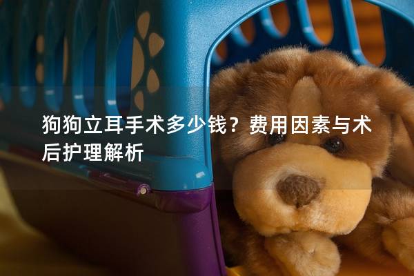 狗狗立耳手術多少錢？費用因素與術后護理解析