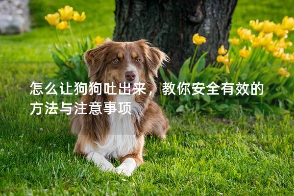 怎么讓狗狗吐出來，教你安全有效的方法與注意事項