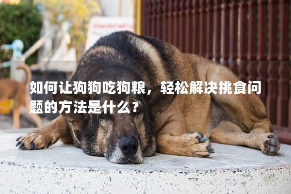 如何讓狗狗吃狗糧，輕松解決挑食問題的方法是什么？