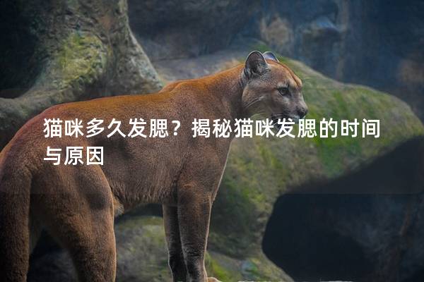 貓咪多久發腮？揭秘貓咪發腮的時間與原因
