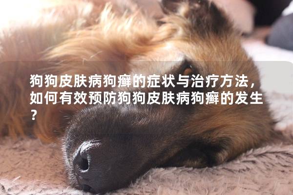 狗狗皮膚病狗癬的癥狀與治療方法，如何有效預(yù)防狗狗皮膚病狗癬的發(fā)生？
